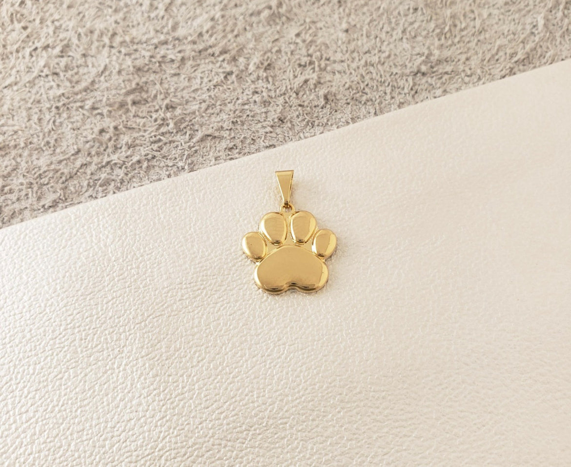 REF: 23441 Dije Huella de Perro