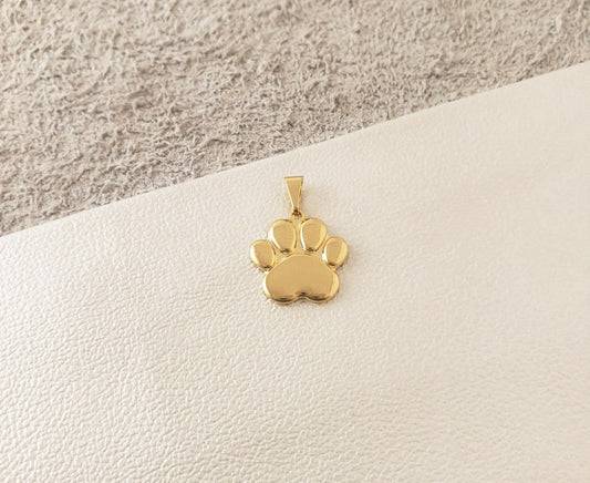 REF: 23441 Dije Huella de Perro