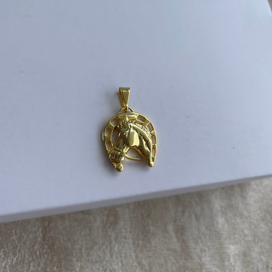 REF: 24008 Dije Caballo con Herradura